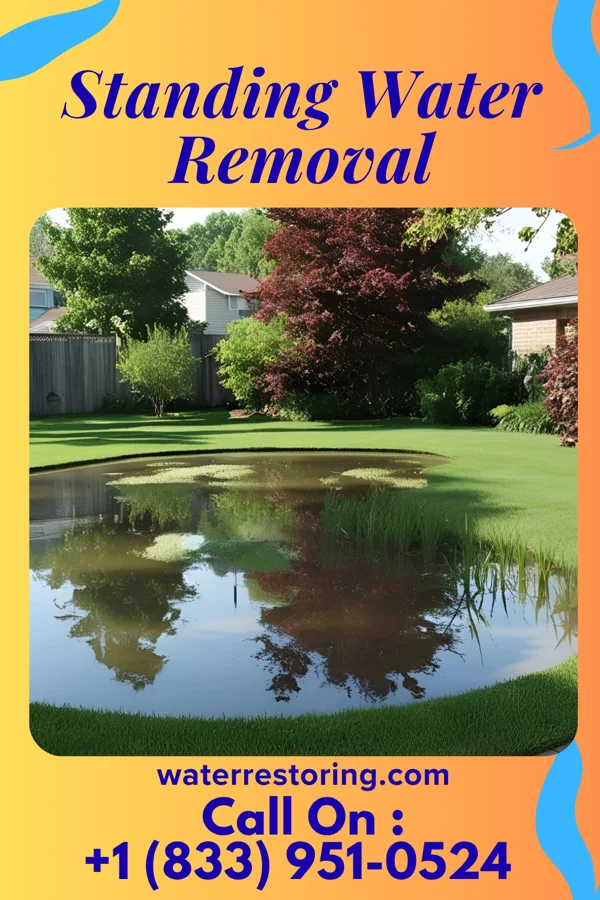 Standing Water Removal in Ute, IA